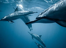 中国排协公布女排新一期集训名单 王梦洁庄宇珊在列